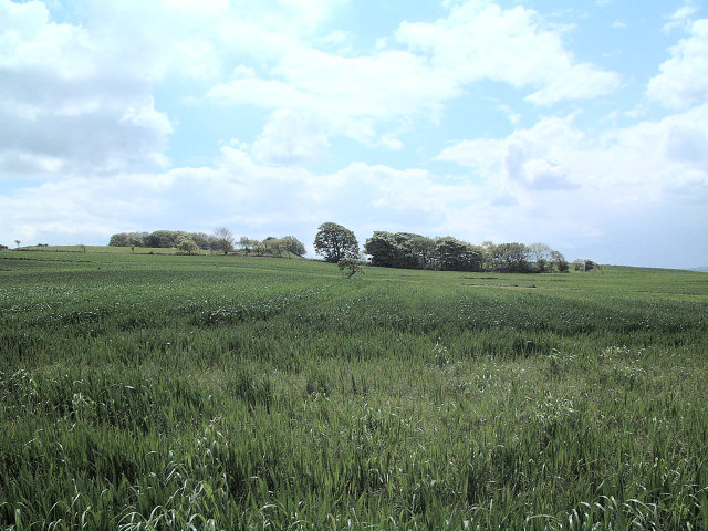 Billinge North Top & Golf Course
