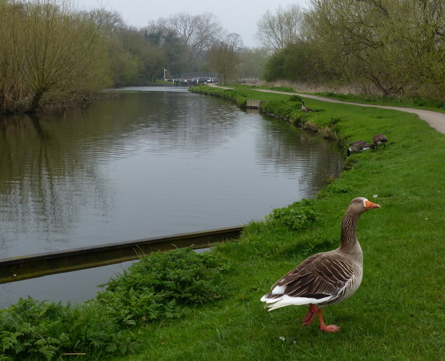 Around Watermead Park (Inc northern area) - Photo 4