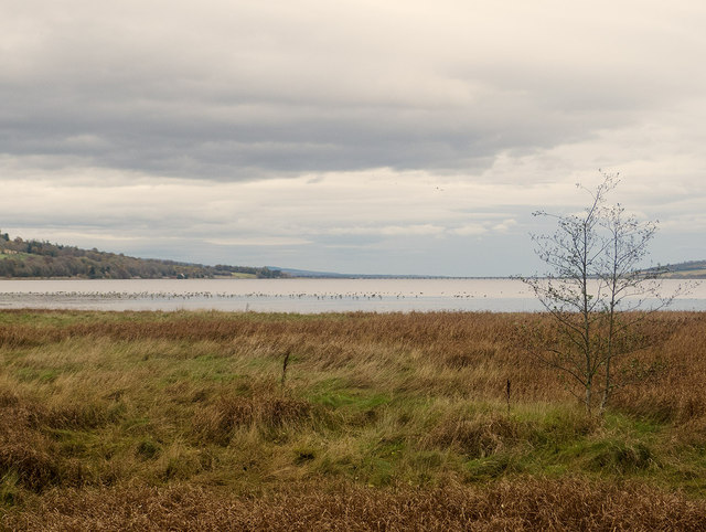 Dingwall 5 - Photo 5
