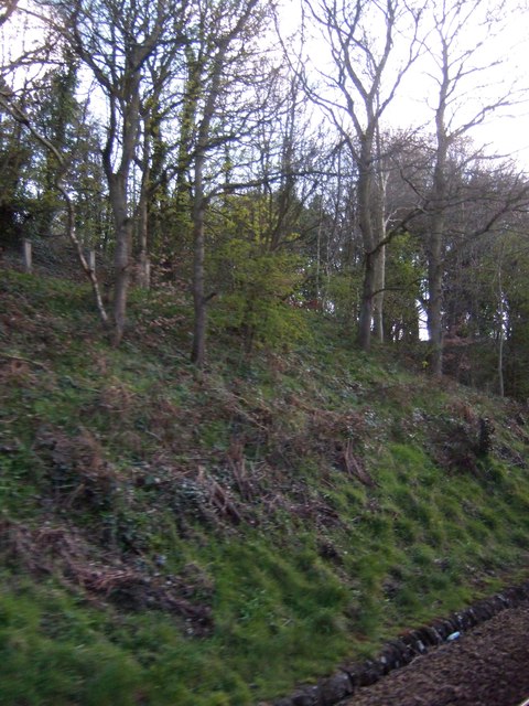 Heddon on the Wall River Loop - Photo 2