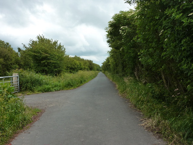 Aldcliffe Marsh and Urban Loop - Photo 5