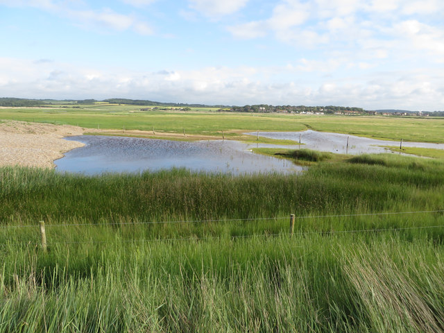 Blakeney Coastal Trail - Photo 5