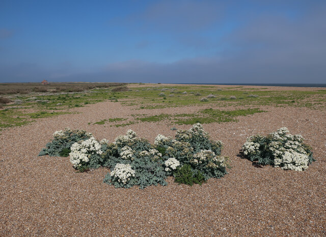 Blakeney Coastal Trail - Photo 3