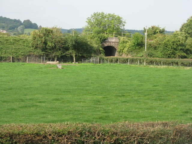 Newnham 5 running route