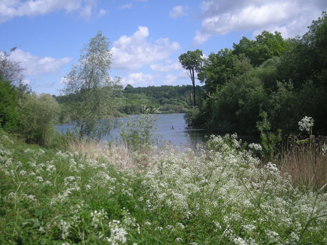Carsington Water