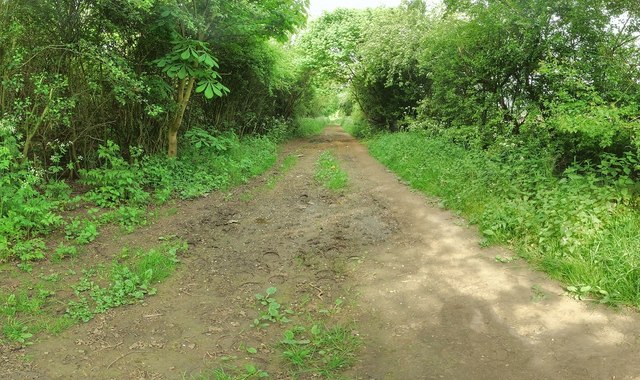 Burton Joyce - Cocker Beck running route