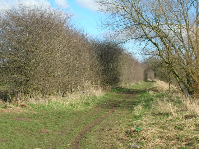 Burton Joyce - Cocker Beck
