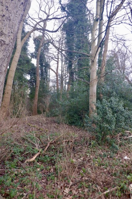 Prestonfield - Duddingston Loop - Photo 2