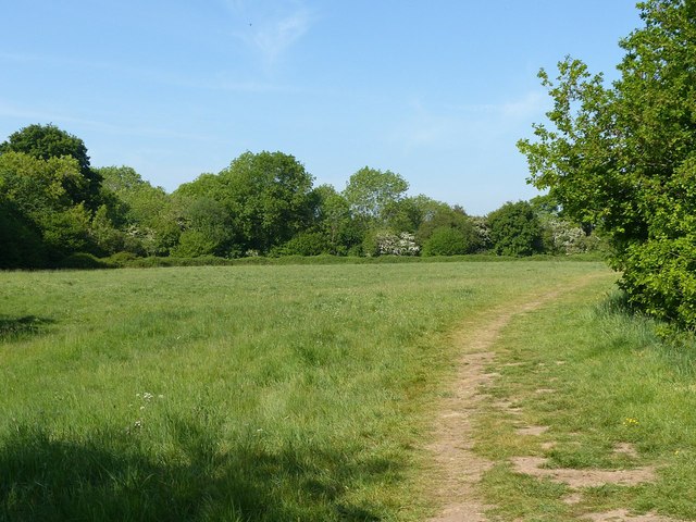 Lambley Dumble
