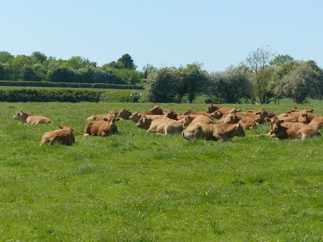 Lambley Dumble - Photo 2