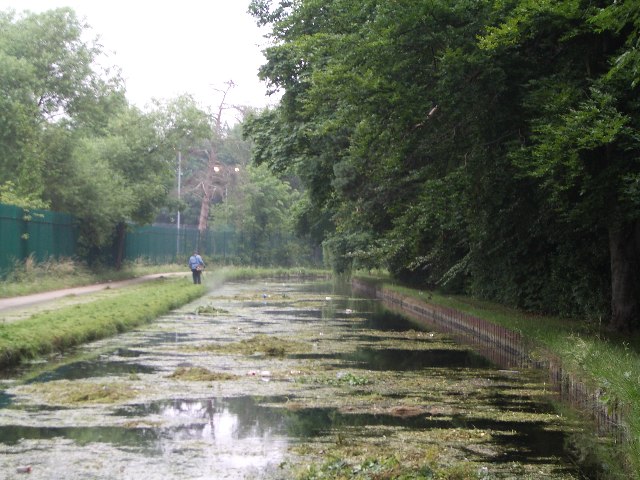 New River Path - Photo 4