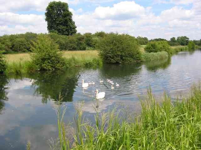 New River Path - Photo 7
