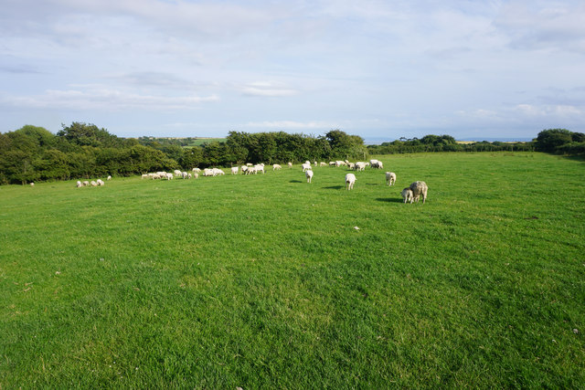Llantwit - Tresillian Bay - Photo 4
