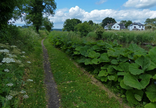 Little Haywood - Bridge 70 - Photo 4