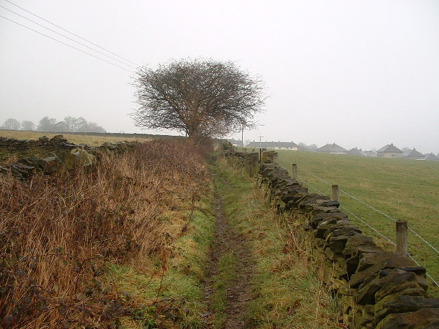 Holmfirth Wooded Paths