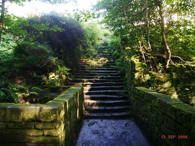 Holmfirth Wooded Paths - Photo 3