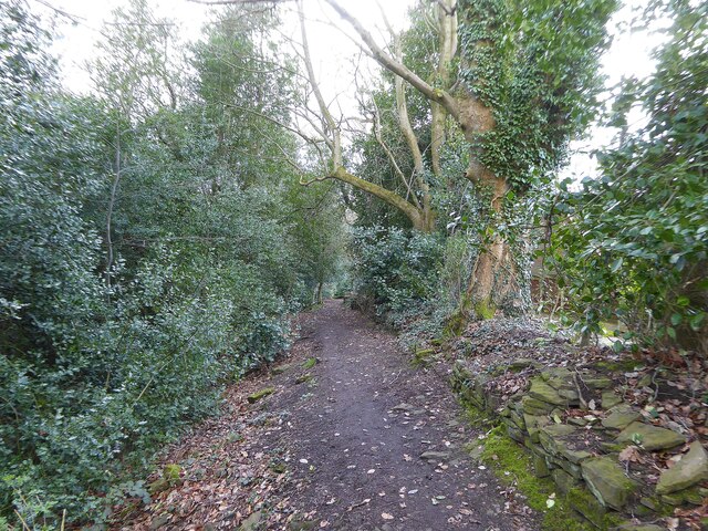 Holmfirth Wooded Paths - Photo 7