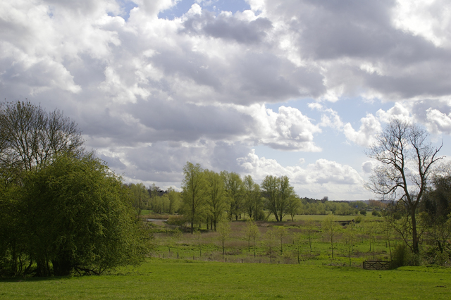 Munden House - Photo 2