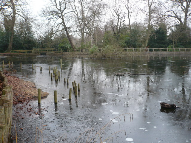 Hayes Common and Keston Loop - Photo 3