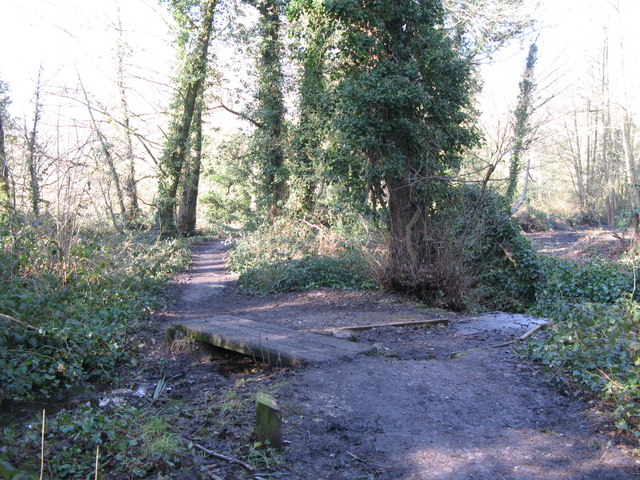 Hayes Common and Keston Loop - Photo 5