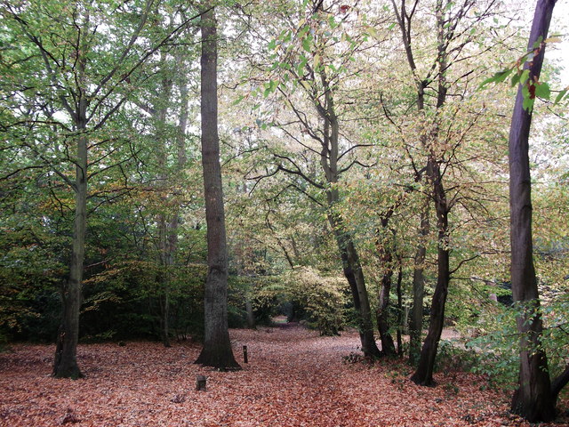 Hayes Common and Keston Loop