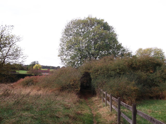 Hayes Common and Keston Loop - Photo 9