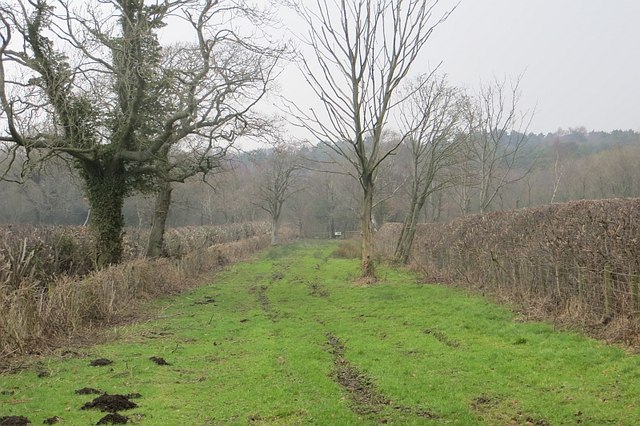 Great Orton - Little Orton - Photo 4
