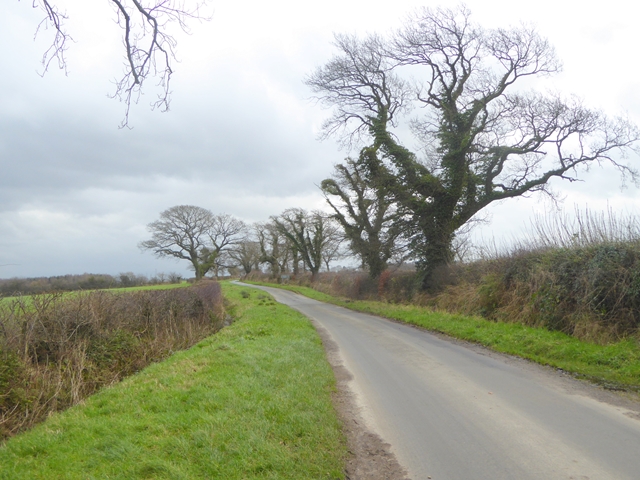 Great Orton - Little Orton - Photo 3