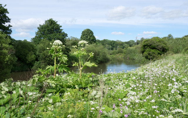 Durham River and City