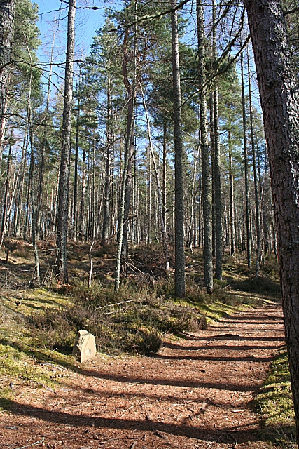 Quarrelwood