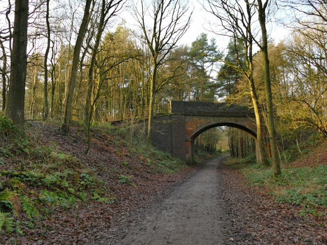 Abbots Moss and Hogshead Wood - Photo 3