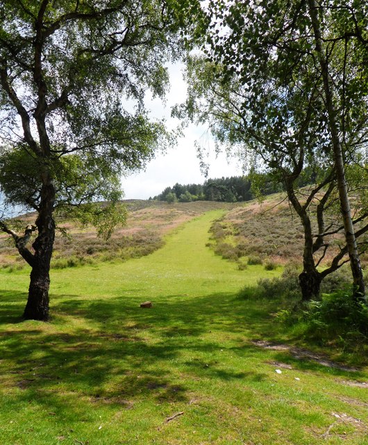 Little Hayworth - Milford trail loop - Photo 3