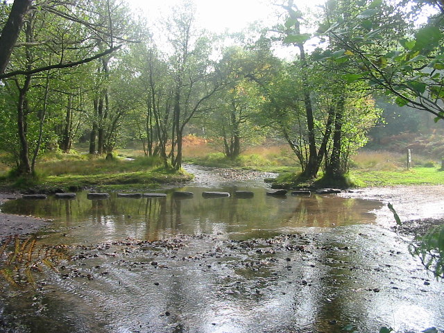 Little Hayworth - Milford trail loop