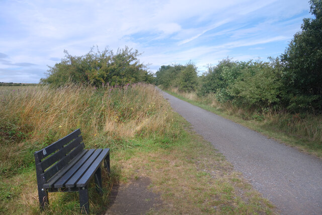 Lanchester Valley Railway Path