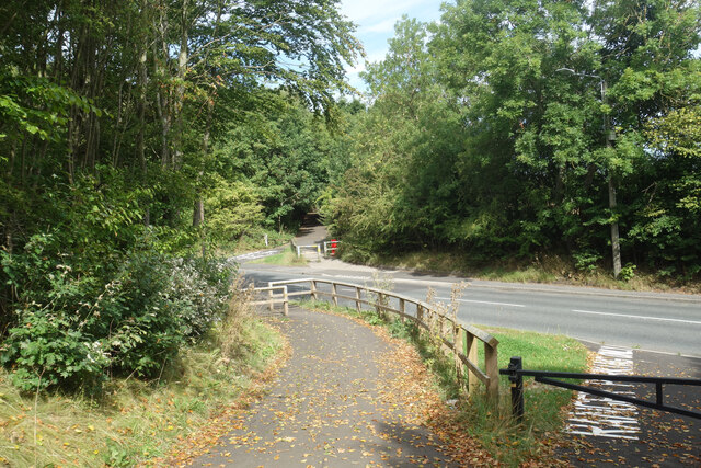 Lanchester Valley Railway Path running route