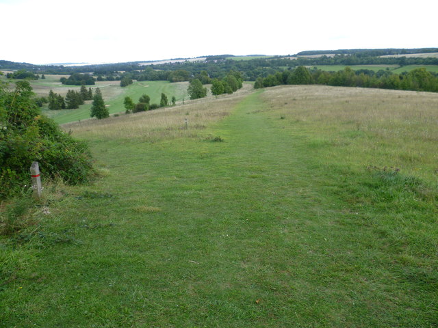 Lullingstone parkrun - Photo 2