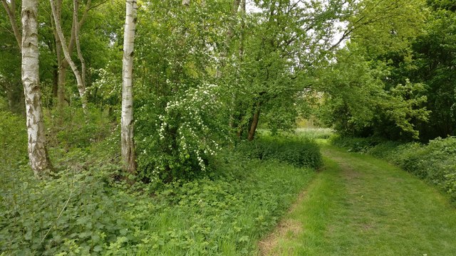 Aylestone Meadows