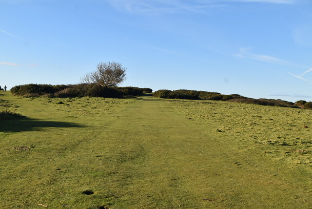 West High Down running route