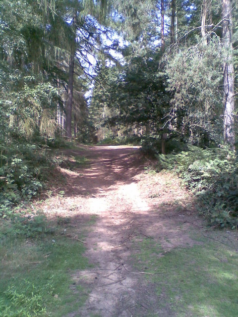 Harlestone Firs and Church Brampton