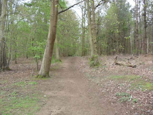 Harlestone Firs and Church Brampton - Photo 4
