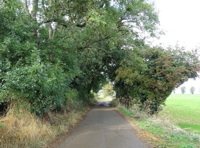 Harlestone Firs and Church Brampton running route