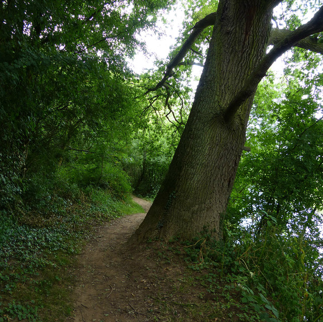 Northwick river loop - Photo 2