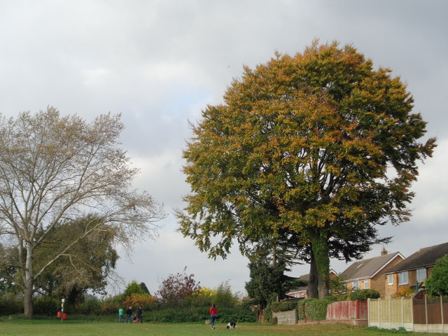 Northwick river loop - Photo 4