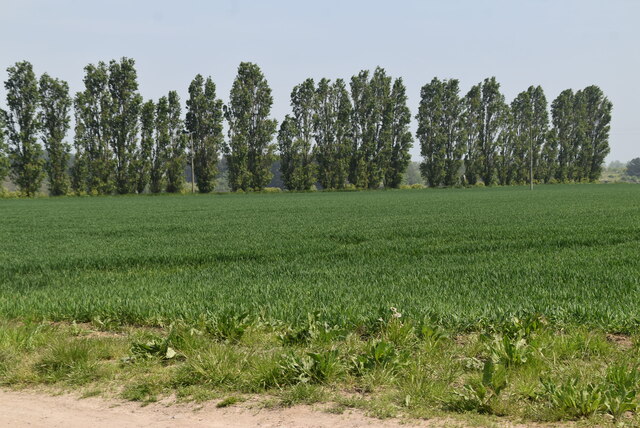 Betteshanger Park - Photo 3