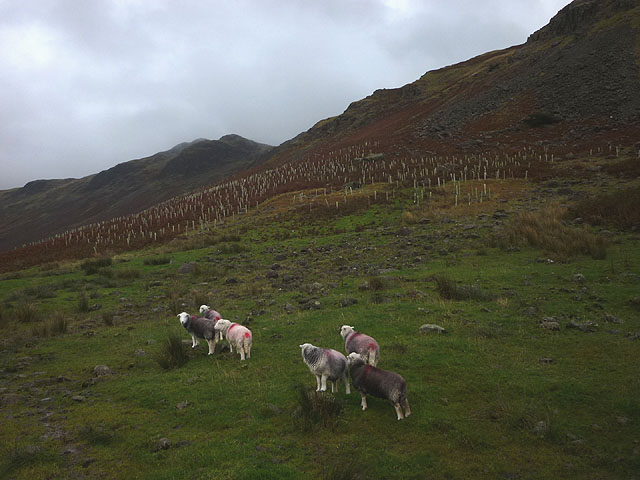 Hardknott Pass to Tongue Pot - Photo 2