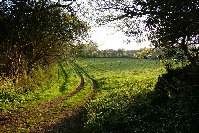 Horneywink Wood - Photo 2