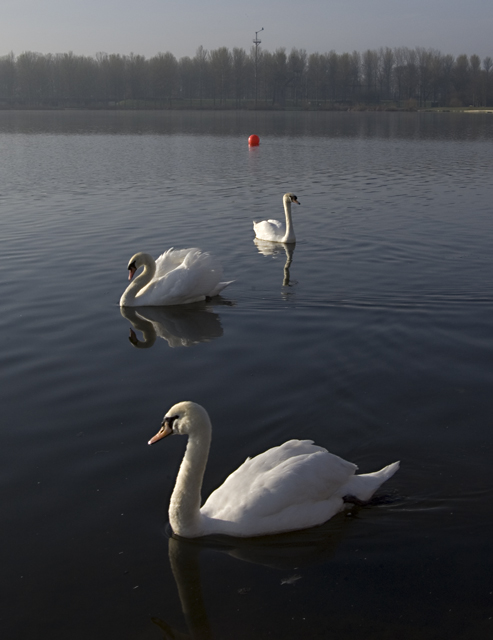 Willen Lakes - Photo 2