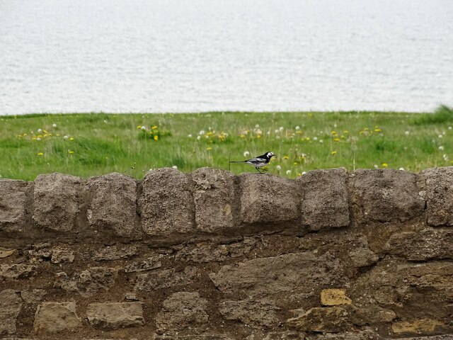 Marsden and Cleadon coastal loop - Photo 5