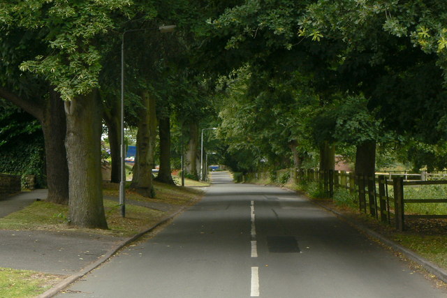Bestwood park estate loop - Photo 7