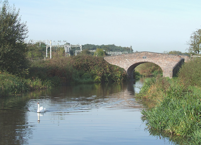 Walton & River Sow